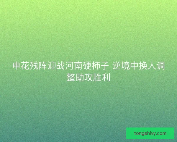 申花残阵迎战河南硬柿子 逆境中换人调整助攻胜利