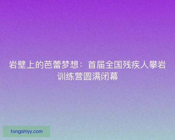 岩壁上的芭蕾梦想：首届全国残疾人攀岩训练营圆满闭幕