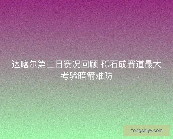 达喀尔第三日赛况回顾 砾石成赛道最大考验暗箭难防